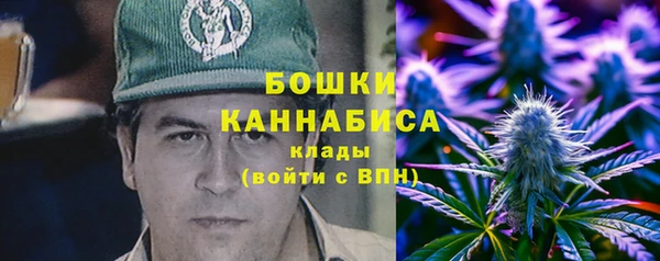 дмт Богданович